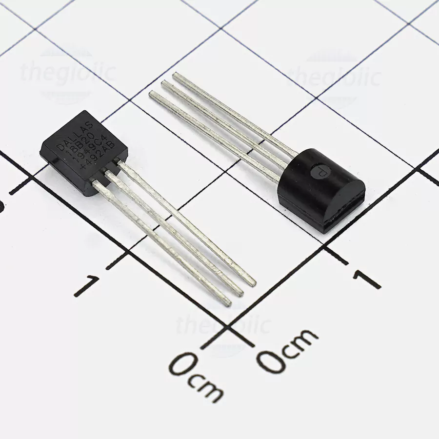 DS18B20 Cảm Biến Nhiệt Độ Số