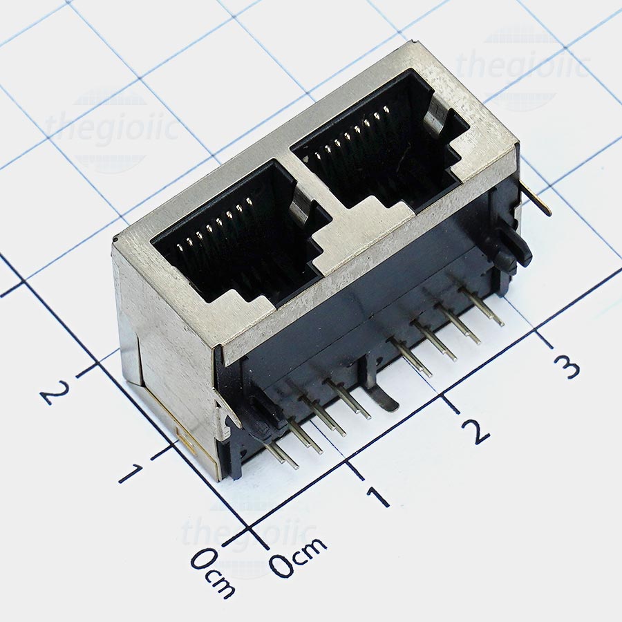 Cổng Mạng RJ45