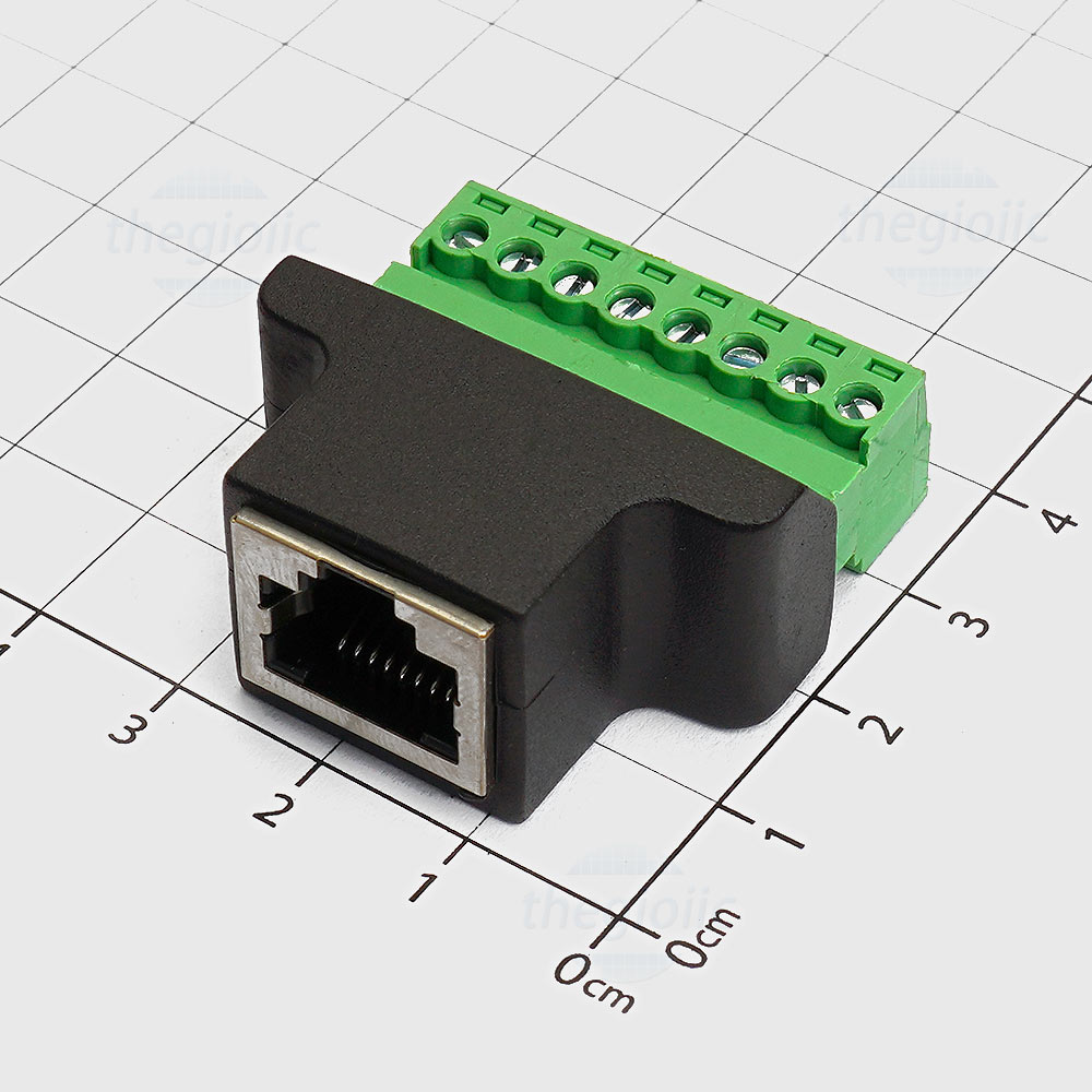Cổng Mạng RJ45
