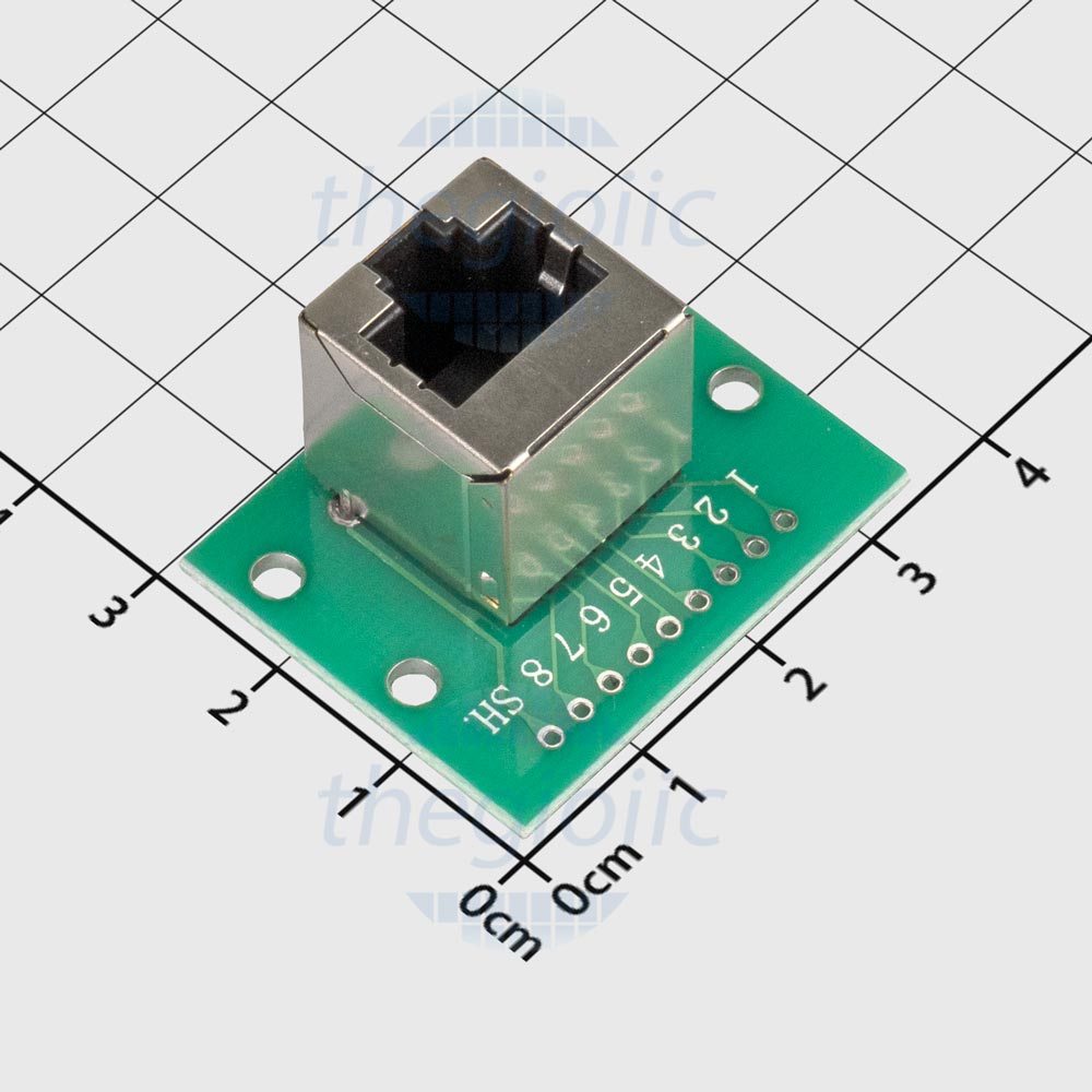 Cổng Mạng RJ45